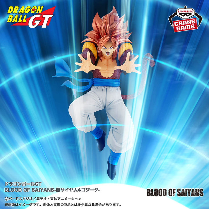 DRAGON BALL Figure P