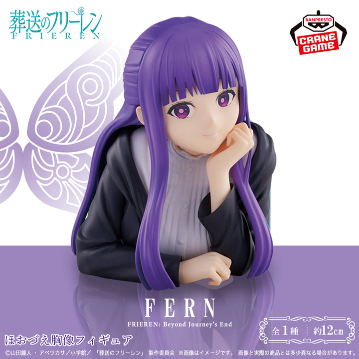 FRIEREN Beyond Journey&