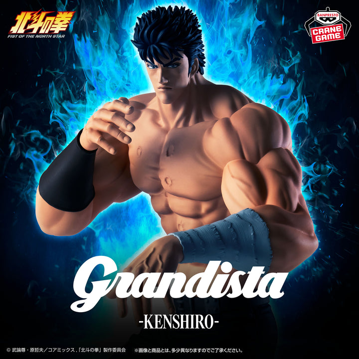 FIST OF THE NORTH STAR Figure P