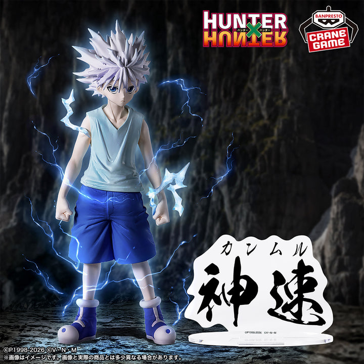 HUNTER×HUNTER Figure P