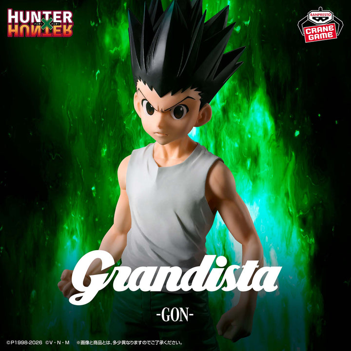 HUNTER×HUNTER Figure P