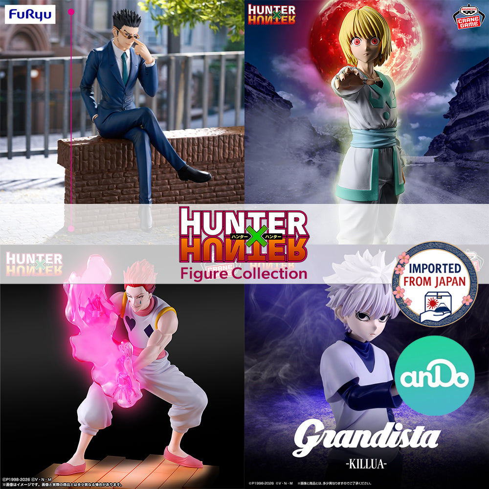 HUNTER×HUNTER Figure P