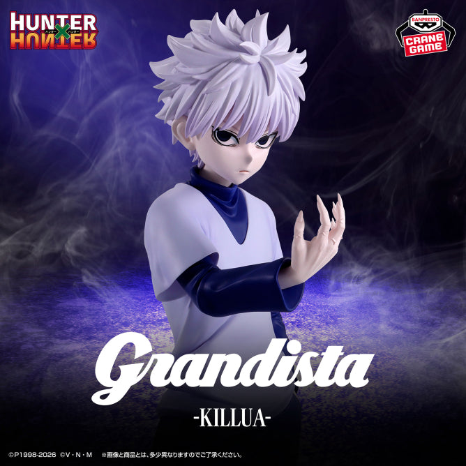 HUNTER×HUNTER Figure P