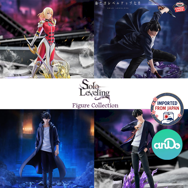 SOLO LEVELING Figure P