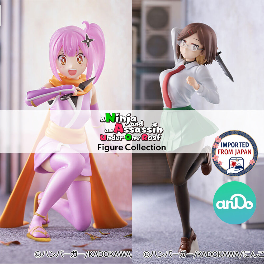 A Ninja and an Assassin Under One Roof Figure P