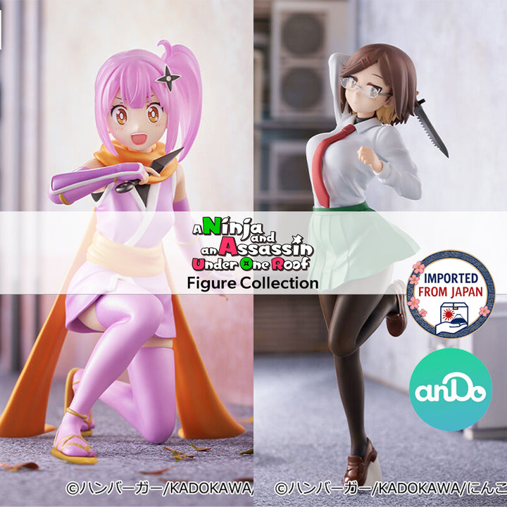 A Ninja and an Assassin Under One Roof Figure P