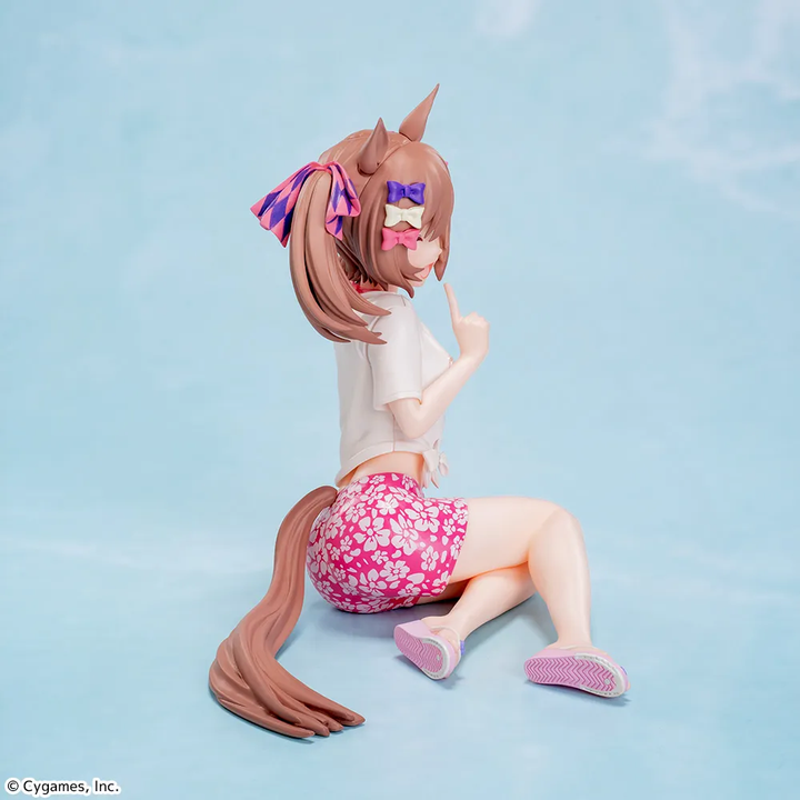 UMAMUSUME: Pretty Derby Yumemirize "SMART FALCON" -Gaze on Me!-
