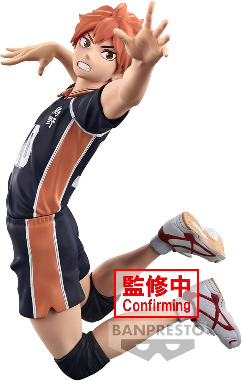 HAIKYU!! Posing Figure -SHOUYOU HINATA-